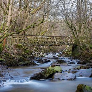 Slitt woods