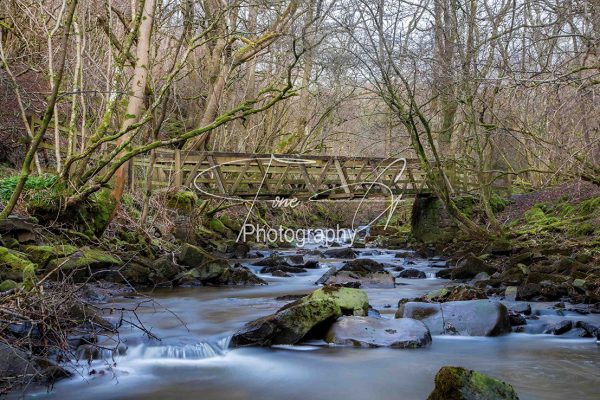 Slitt woods