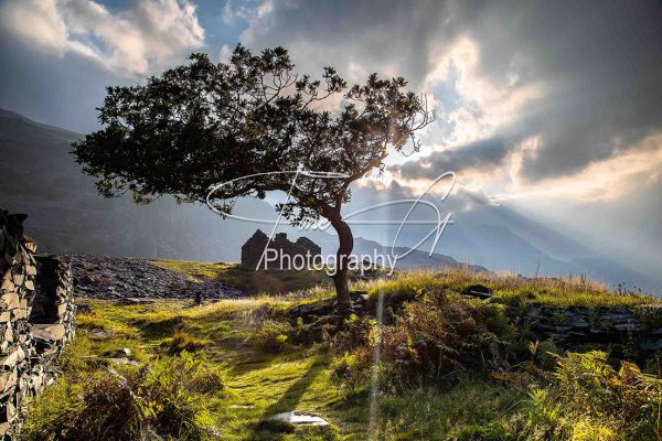 The miners' cottages of Snowdonia